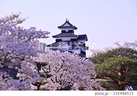 白河小峰城跡 桜 白河小峰城跡 桜 135498515