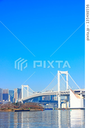 東京都港区、レインボーブリッジの風景 東京都港区、レインボーブリッジの風景 135498556