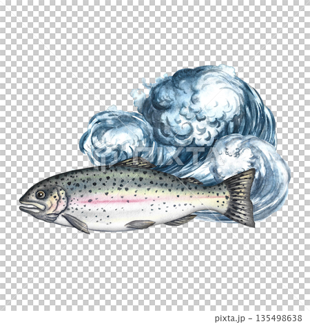 Trout in the sea waves. Hand-drawn watercolor illustration. Colorful image of seafood. Separate from the background. Perfect for menus, recipe books, packaging, labels, invitations, and more. 135498638