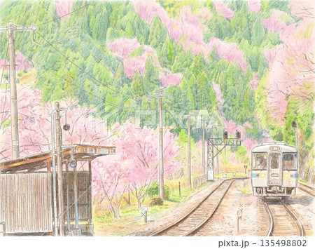 春色秘境ローカル線の旅 135498802