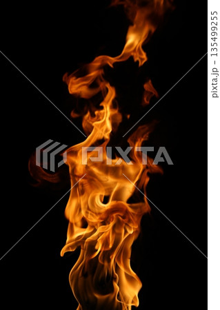 Fire flame isolated on black background Fire flame isolated on black background 135499255
