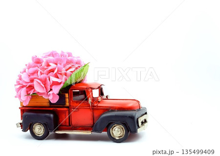 Red Pickup Truck Carrying Hydrangea Pink Flower Red Pickup Truck Carrying Hydrangea Pink Flower 135499409