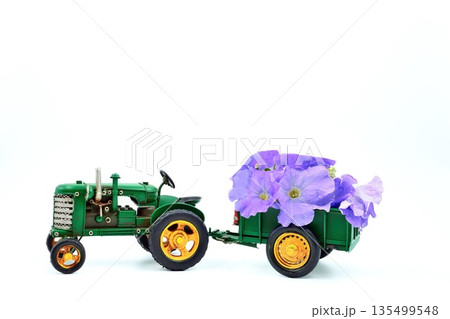 Green Metal Model Tractor With Trailer Carrying Purple Petunia Flowers. Green Metal Model Tractor With Trailer Carrying Purple Petunia Flowers. 135499548