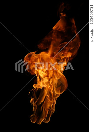 Glowing Fire Torch in the Night Glowing Fire Torch in the Night 135499751