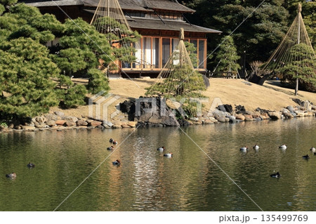 冬の日本庭園 冬の日本庭園 135499769