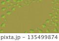 緑の楓の葉の背景素材 135499874