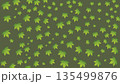 緑の楓の葉の背景素材 135499876