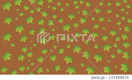 緑の楓の葉の背景素材 緑の楓の葉の背景素材 135499878