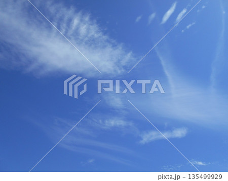 青空に浮かぶ白く薄い雲 青空に浮かぶ白く薄い雲 135499929