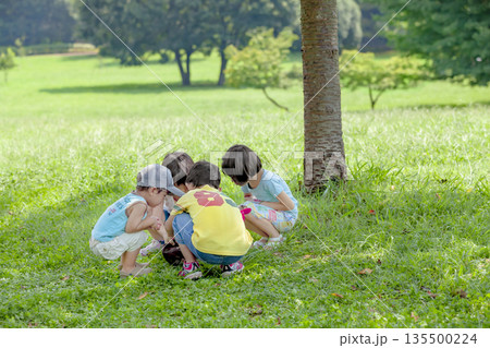 公園の木の下で遊ぶ子供たち 135500224