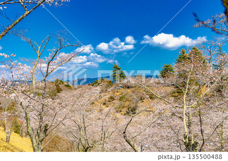 西山公園(西山荘) 西山公園(西山荘) 135500488