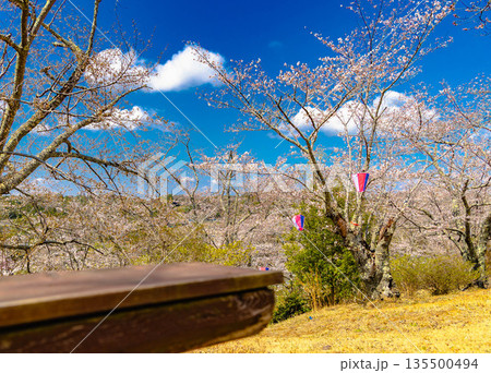 西山公園(西山荘) 西山公園(西山荘) 135500494