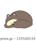 寝たふりをするたぬき（たぬき寝入り）のイラスト 135500539