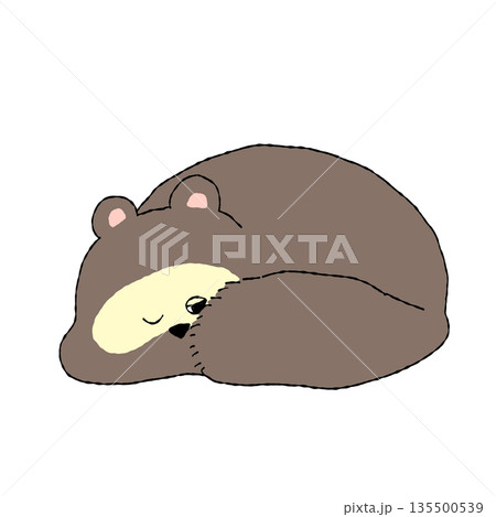 たぬき寝入り 寝たふりをするたぬき（たぬき寝入り）のイラストのイラスト素材
