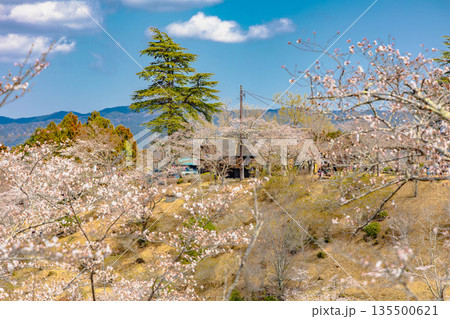 西山公園(西山荘) 西山公園(西山荘) 135500621