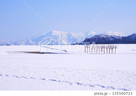 新潟県小千谷市池ヶ原雪原のハサ木・越後三山雪景色 135500723