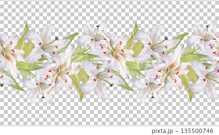 Watercolor illustration of a seamless horizontal border with white lily flowers and green leaves. 135500746