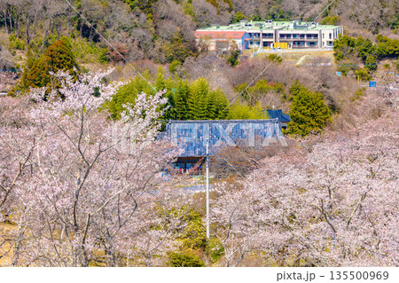 西山公園（西山荘周辺） 135500969