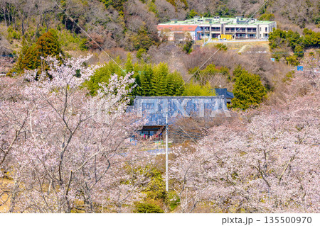 西山公園（西山荘周辺） 135500970
