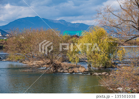 冬の桂川風景　京都市 135501038