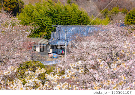 西山公園(西山荘近辺) 西山公園(西山荘近辺) 135501107
