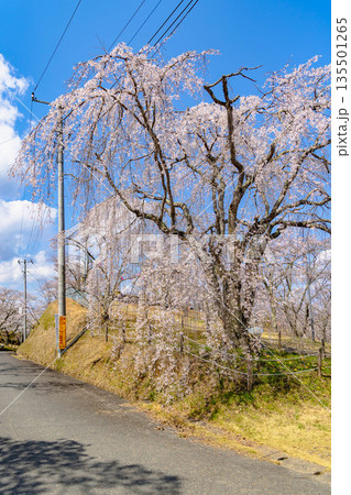 西山公園（西山荘近辺） 135501265