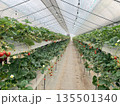いちごハウス 135501340