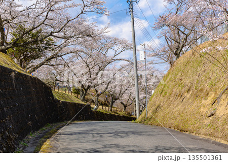 西山公園（西山荘近辺） 135501361