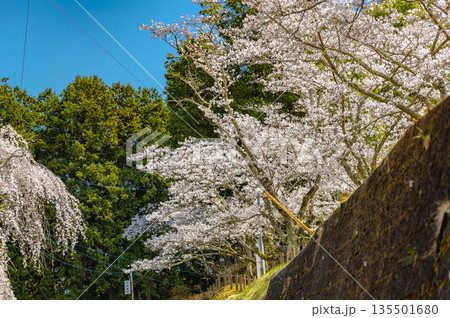 西山公園(西山荘近辺) 西山公園(西山荘近辺) 135501680