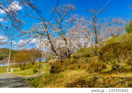 西山公園（西山荘近辺） 135501681
