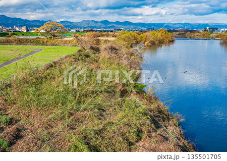 冬の桂川風景　京都市 135501705