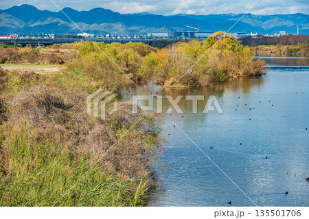 冬の桂川風景　京都市 135501706