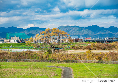 冬の桂川風景　京都市 135501707
