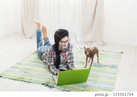 Young girl in computer glasses lying on carpet with laptop and dog chihuahua. Hipster freelancer woman works at home. Home office, freelance. 135501724