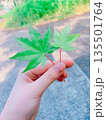 もみじと手 135501764