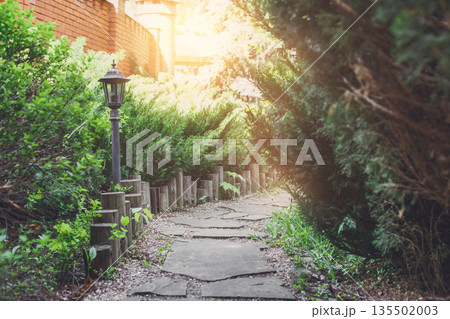 Beautiful landscape design, garden path in stone tiles, evergreen bushes, fir trees, blue spruces and shrubs in sunlight. Summer garden or park design. Flare effect 135502003