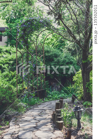 Beautiful landscape design, garden path with park light, wooden fence and metal arch, evergreen bushes and shrubs in sunlight. Modern landscaping. 135502011