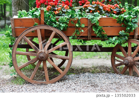 The cart with flowers. Scarlet red geranium flowerbed in retro styled old wooden wagon. Cranesbill in park landscape design, modern landscaping The cart with flowers. Scarlet red geranium flowerbed in retro styled old wooden wagon. Cranesbill in park landscape design, modern landscaping 135502033
