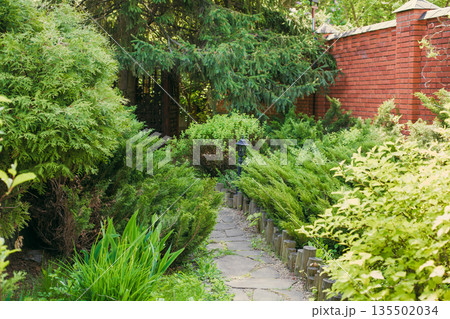 Beautiful landscape design, evergreen trees and shrubs in sunlight. Modern landscaping: Fir trees, blue spruces, arborvitae, thuja, shrubs abd bushes. Summer garden 135502034