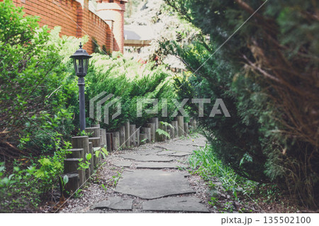 Beautiful landscape design, garden path in stone tiles, evergreen bushes, fir trees, blue spruces and shrubs in sunlight. Summer garden or park design. 135502100