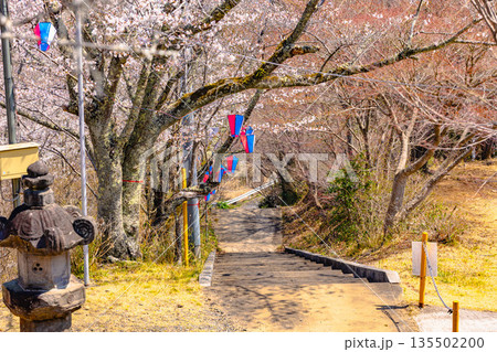 西山公園（西山荘近辺） 135502200