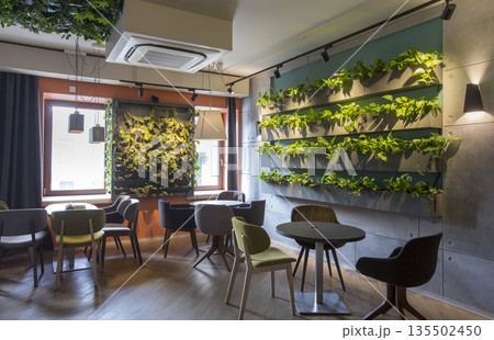 Modern cafe interior style, green eco environmental with plant on wall, coffee shop Modern cafe interior style, green eco environmental with plant on wall, coffee shop 135502450