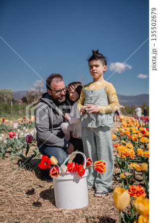 father and two children sitting in the tulip field with bucket full of collected flowers 135502679