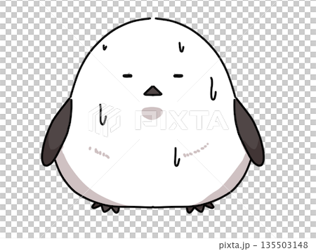 Sweating long-tailed tit 135503148