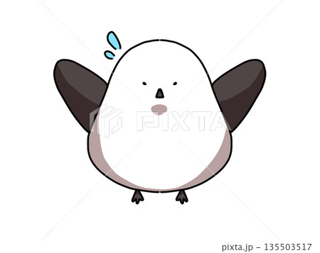 焦っているシマエナガ 焦っているシマエナガ 135503517