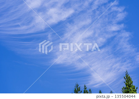 6月最後の青空 135504044