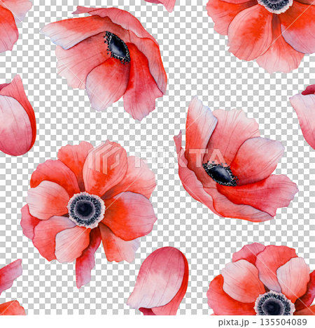 Red poppies watercolor seamless pattern on white for spring floral designs. Botanical hand drawn repeat background with field anemones flowers for delicate fabrics and wildflowers wallpapers 135504089