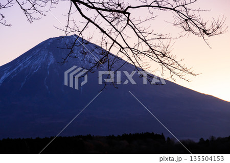 初冬の田貫湖の夜明けの美しい富士山 初冬の田貫湖の夜明けの美しい富士山 135504153