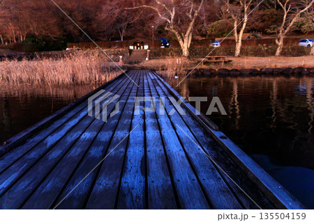 初冬の田貫湖の夜明けの美しい富士山 135504159