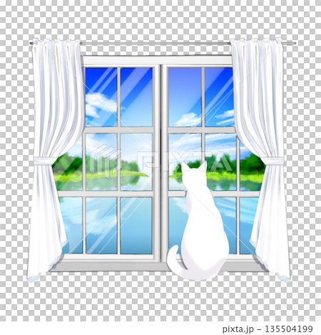 A cat watching the outside from the window 135504199